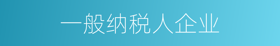 一般纳税人企业的同义词