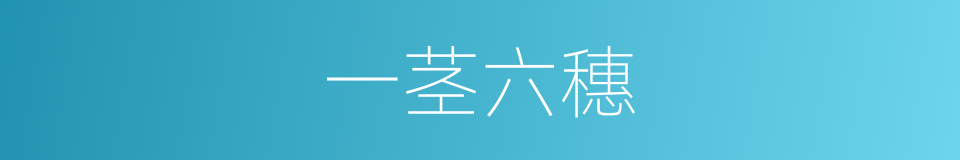 一茎六穗的意思
