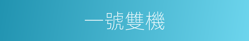 一號雙機的同義詞