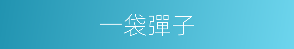 一袋彈子的同義詞