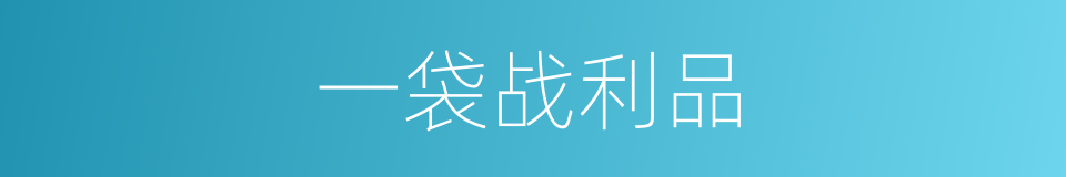 一袋战利品的同义词