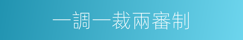 一調一裁兩審制的同義詞