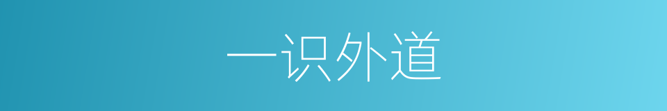 一识外道的同义词