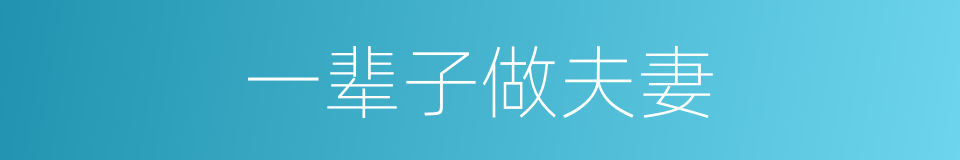 一辈子做夫妻的同义词