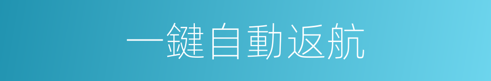 一鍵自動返航的同義詞