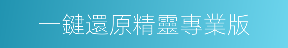 一鍵還原精靈專業版的同義詞