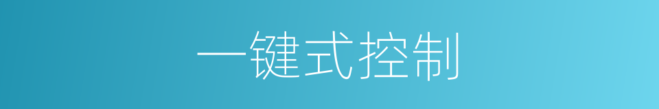一键式控制的同义词