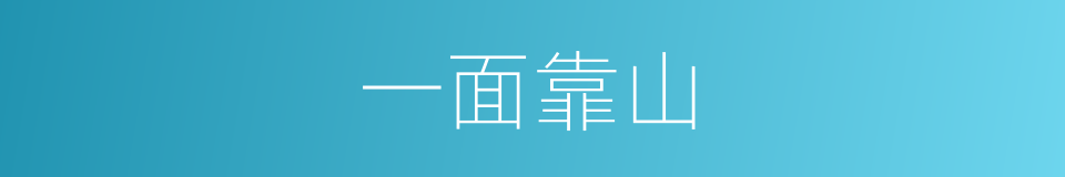 一面靠山的同义词