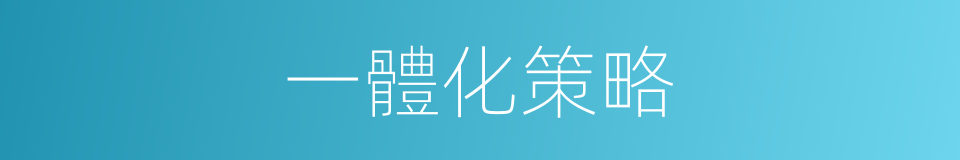 一體化策略的同義詞