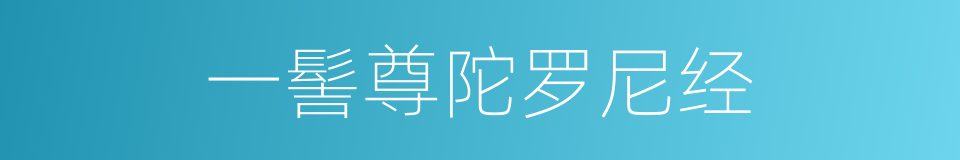 一髻尊陀罗尼经的同义词