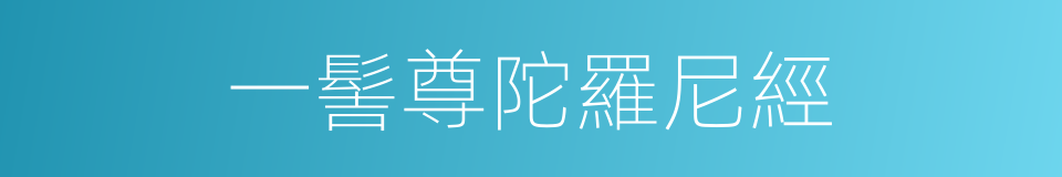一髻尊陀羅尼經的同義詞