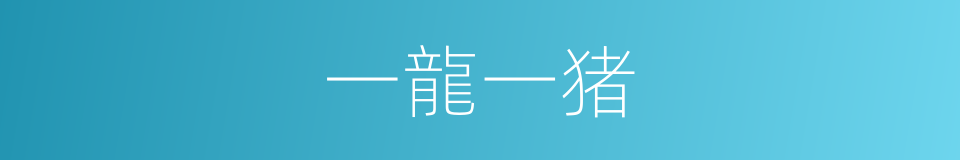 一龍一猪的意思