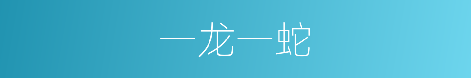 一龙一蛇的意思