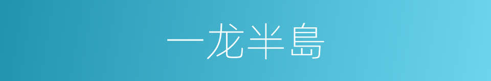 一龙半島的同義詞
