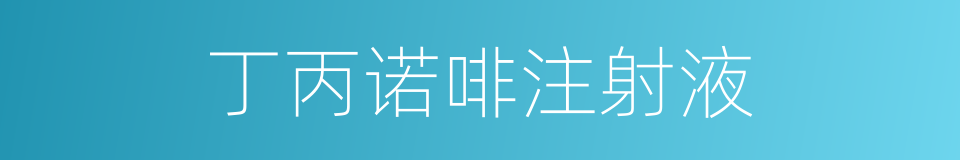 丁丙诺啡注射液的同义词