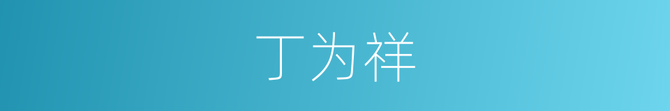 丁为祥的同义词