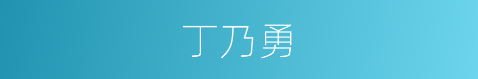 丁乃勇的同义词