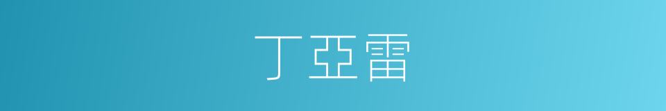 丁亞雷的同義詞