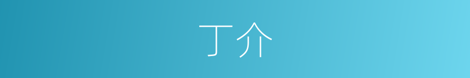 丁介的同义词