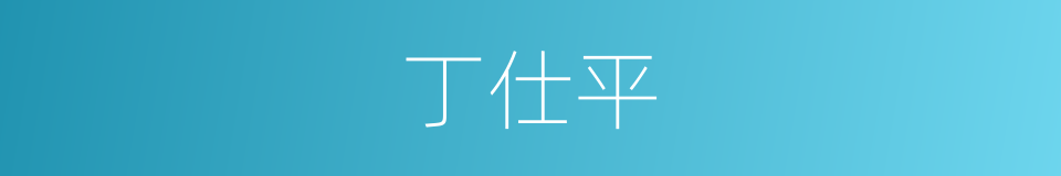 丁仕平的同义词