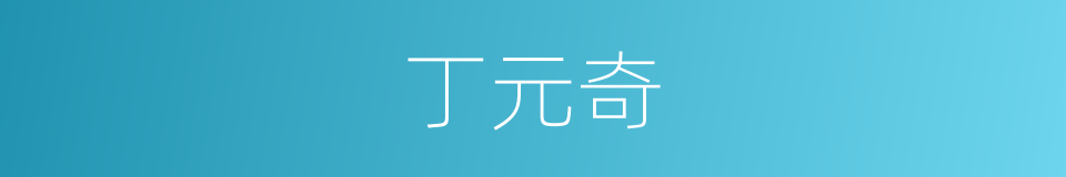 丁元奇的同义词