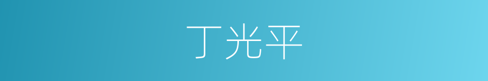丁光平的同义词