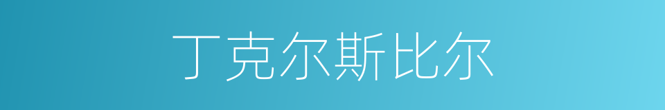 丁克尔斯比尔的同义词