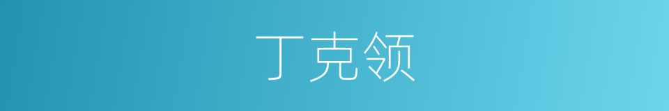 丁克领的同义词