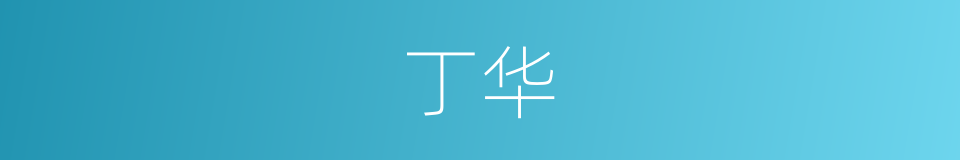 丁华的同义词