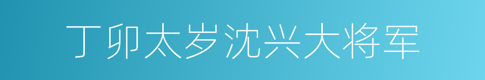 丁卯太岁沈兴大将军的同义词