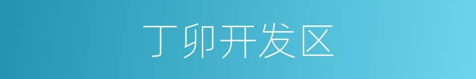 丁卯开发区的同义词