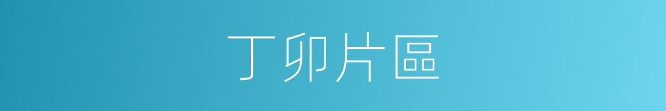 丁卯片區的同義詞
