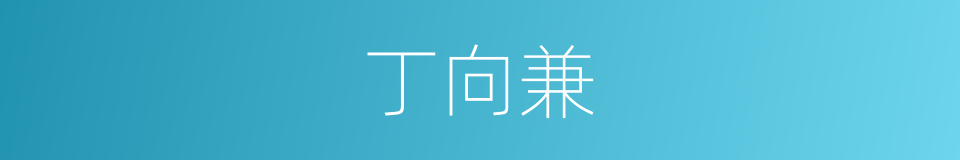 丁向兼的同义词