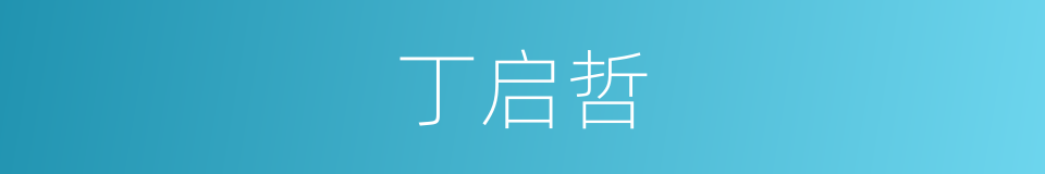 丁启哲的同义词