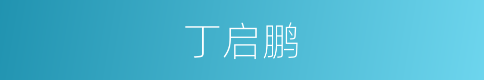 丁启鹏的同义词