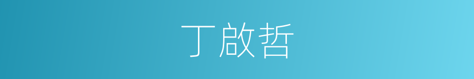 丁啟哲的同義詞