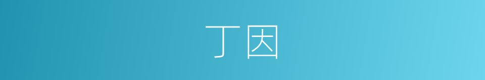 丁因的同义词