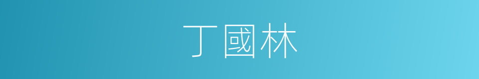 丁國林的同義詞