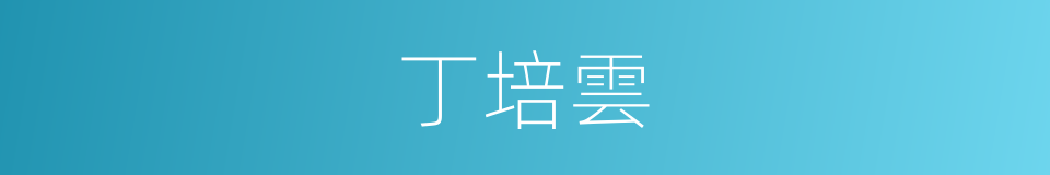 丁培雲的同義詞