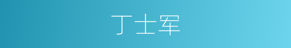 丁士军的同义词