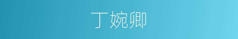 丁婉卿的同义词