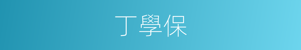 丁學保的同義詞