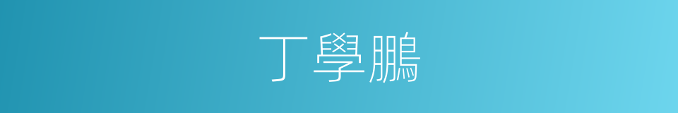 丁學鵬的同義詞