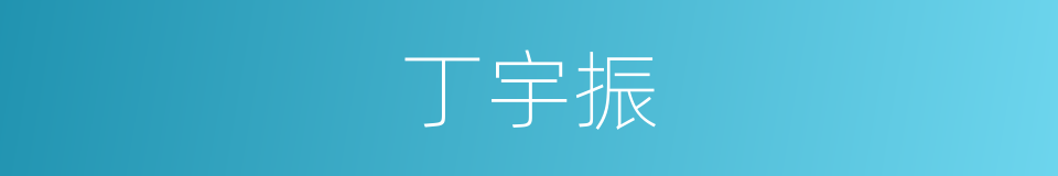 丁宇振的同义词