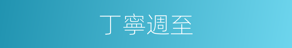 丁寧週至的同義詞