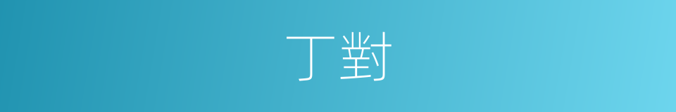 丁對的意思