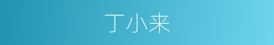 丁小来的同义词