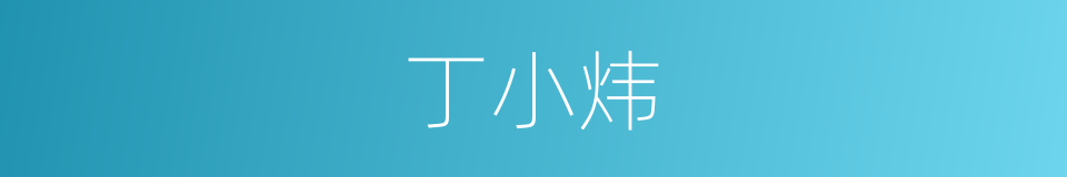 丁小炜的同义词