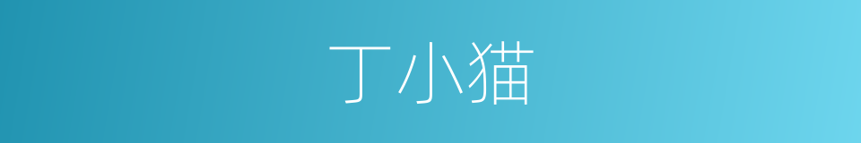 丁小猫的同义词
