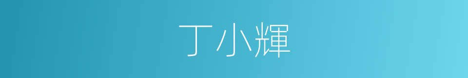 丁小輝的同義詞